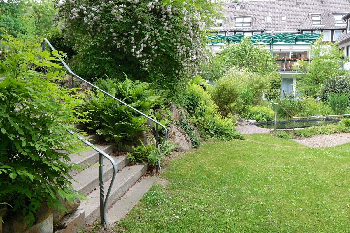 Jahreswechsel in der Lüneburger Heide - Vorschau II