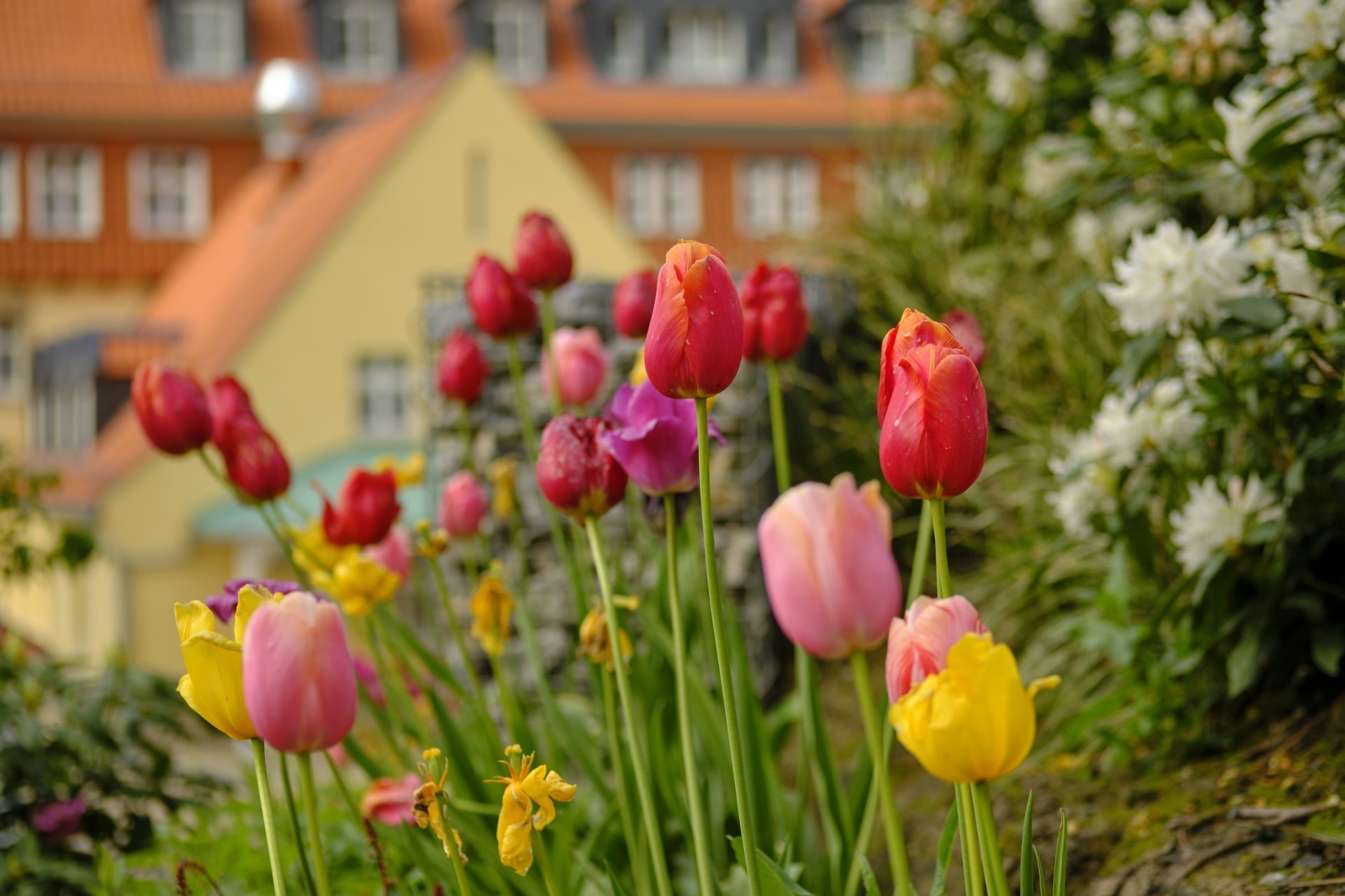4 Tage Wander- Auszeit im Harz inkl. Halbpension - Vorschau II